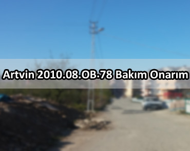 Artvin 2010.08.BO.78 