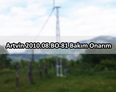 Artvin 2010.08.BO.81