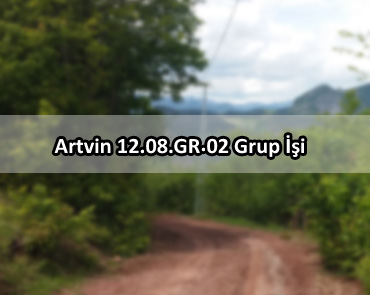Artvin 12.08.GR.02 Grup İşi