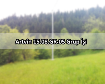 Artvin 15.08.GR.05 Grup İşi