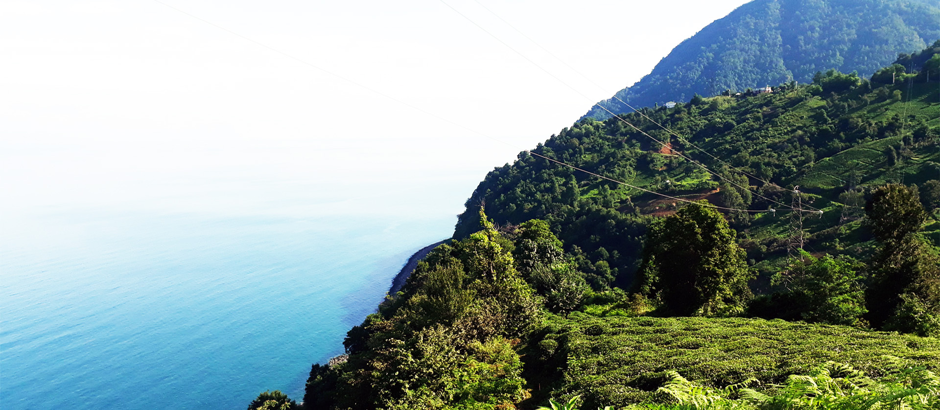 slider_02