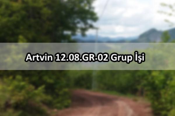 Artvin 12.08.GR.02 Grup İşi
