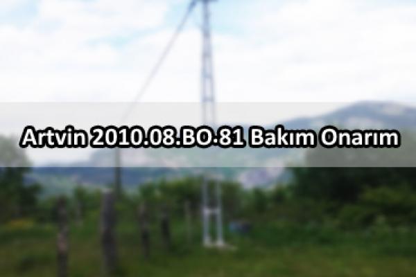 Artvin 2010.08.BO.81