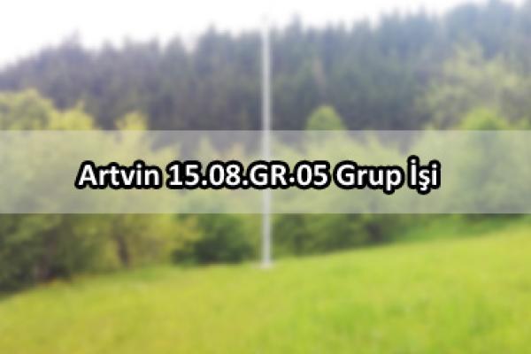Artvin 15.08.GR.05 Grup İşi